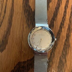 Skagen Silver Mesh Watch